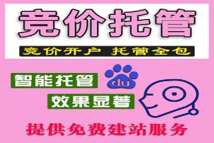 竞价SEM托管服务如何助力企业提升ROI